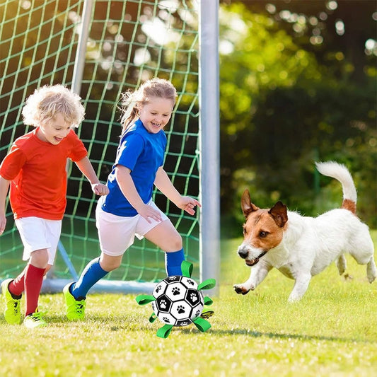🐕⚽Dog Soccer Toy