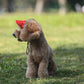 🐕Outdoor Sun Protection Hood For Dogs