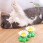 ✨Limited Time Offer✨Electric Cat Activity Flying Toy
