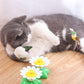 ✨Limited Time Offer✨Electric Cat Activity Flying Toy