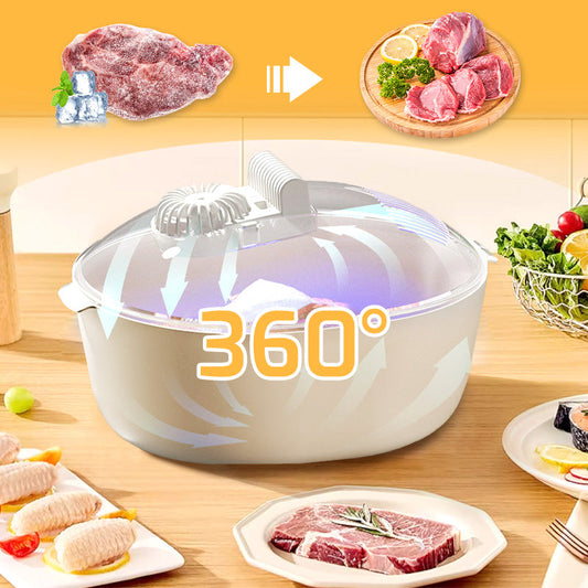 🎁Hot Sale 49% OFF⏳Quick Thawing Food Defroster