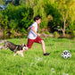 🐕⚽Dog Soccer Toy
