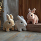 🐇 My Realistic Bunny Toy