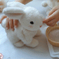 🐇 My Realistic Bunny Toy