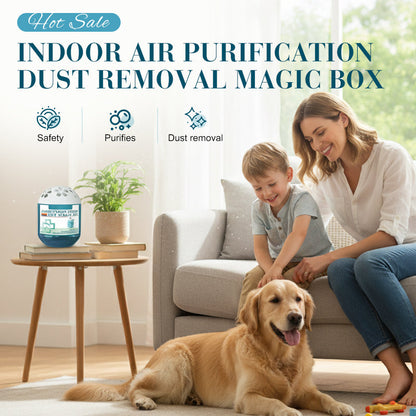 🔥2026 New Collection ⏰Indoor Air Purification Dust Removal Magic Box🏠🌿