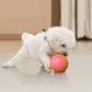 ⏳LAST DAY SALE 60% OFF !!🐾 Auto Bouncing Smart Pet Ball with Remote Control, 3 Play Modes, Durable Chew Resistant E-TPU Interactive Dog Toy, USB-C Rechargeable Glowing Ball for Dogs🎾