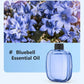 🥇Hot Sale - 49% OFF🥇Automatic Fragrance Spray for Home