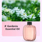 🥇Hot Sale - 49% OFF🥇Automatic Fragrance Spray for Home