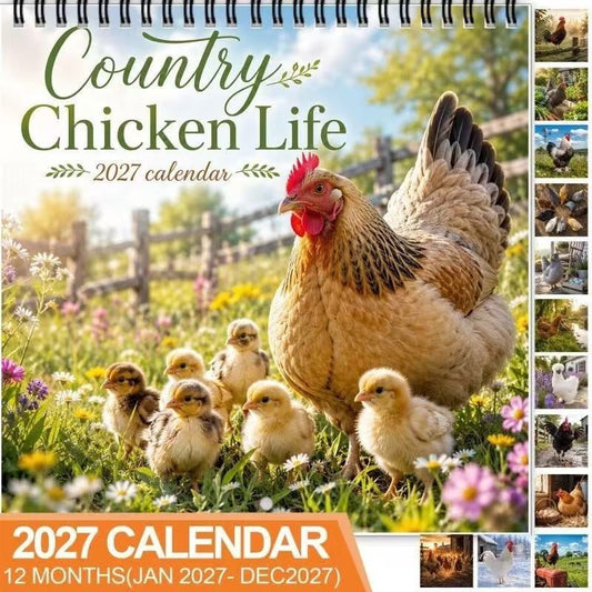 ⏰ Limited Time SALE ONLY £7.99 🐓 2027 Country Chicken Life Wall Calendar