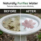 🍂Autumn Hot Sale 50% OFF🔥Maple Leaf 99.9% Pure Copper Universal Bird Bath Purifier🍁