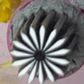 💅 LAST DAY SALE 50% OFF🌸 Professional Nail Art Stamping Tool Kit | Reusable Flower Pattern Stamper Tools, DIY Home Salon Manicure Set (6/10/15Pcs)