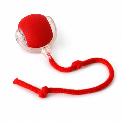 🖤Black Friday Hot Sale 50% OFF🐱Smart Automatic Rolling Cat Toy Ball with Rope🐶