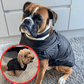 🎁Hot sale🔥Waterproof Winter Warm Dog Jacket With Built-in Harness