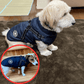 🎁Hot sale🔥Waterproof Winter Warm Dog Jacket With Built-in Harness